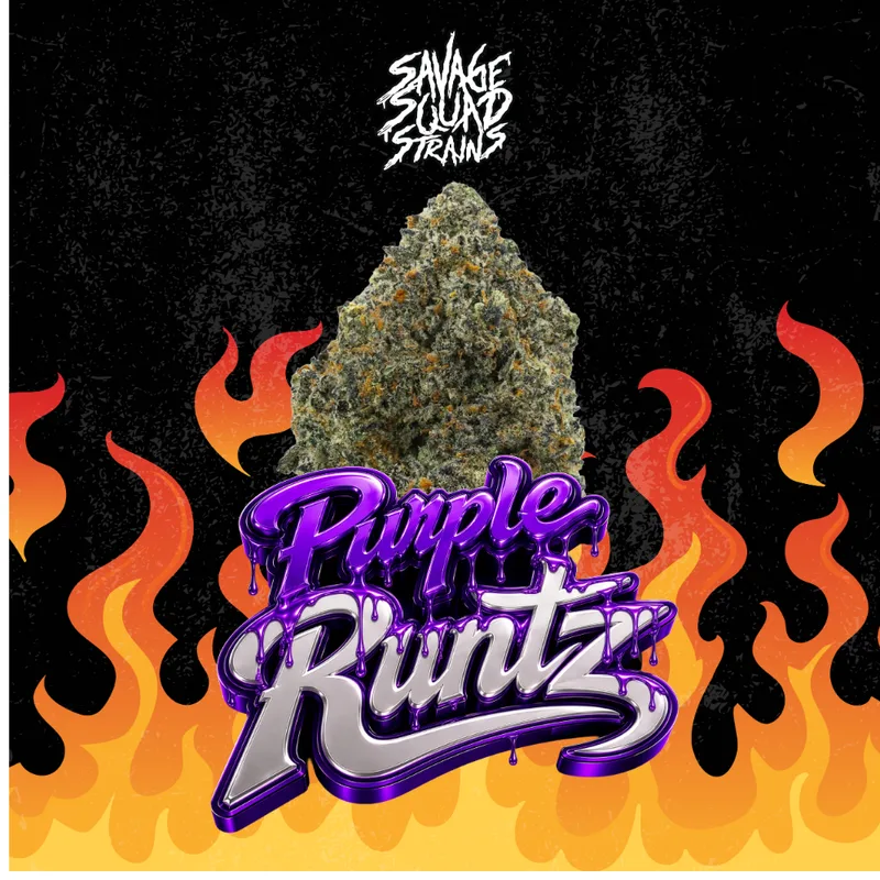 Savage Squad Strains | Purple Runtz | Flower | Hybrid |
